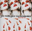 Painted_On-Fabulous_Thunderbirds
