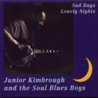 Sad_Days_And_Lonely_Nights_-Junior_Kimbrough
