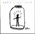 Skin di Peter Himmelman - CD