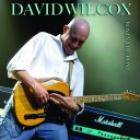 Boy In The Boat  di David K. Wilcox - CD