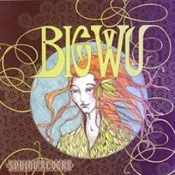 Spring Reverb di Big Wu - CD