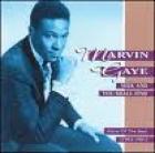 Seek_And_You_Shall_Find_-Marvin_Gaye