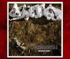 Girano Le Pale di Folkabbestia - CD
