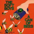 A_Can_Of_Bees_-Soft_Boys