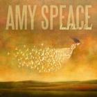 Land_Like_A_Bird_-Amy_Speace