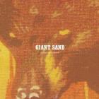 Purge & Slouch  di Giant Sand - CD