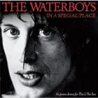 In_A_Special_Place_-Waterboys