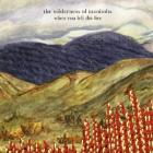 When You Left The Fire  di The Wilderness Of Manitoba - CD