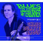 Blues In The Afterburner di Chris Duarte - CD