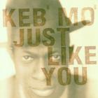 Just_Like_You_-Keb'_Mo'