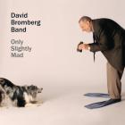 Only Slightly Mad di David Bromberg - CD