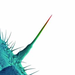 And I'll Scratch Yours di Peter Gabriel