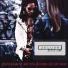 Are_You_Gonna_Go_My_Way__-Lenny_Kravitz