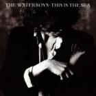 This_Is_The_Sea-Waterboys