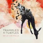 Wild_Animals__-Trampled_By_Turtles_
