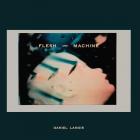 Flash_And_Machine_-Daniel_Lanois