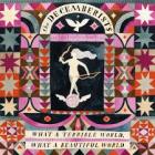 What_A_Terrible_World_%2C_What_A_Beautiful_World_-The_Decemberists