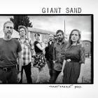Heartbreak Pass di Giant Sand - LP