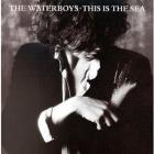 This_Is_The_Sea_-Waterboys
