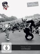 Live_At_Rockpalast-Stray_Cats
