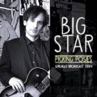 Picking_Posies_-Big_Star