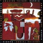 Amazing Things  di Runrig - CD
