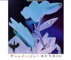 Wonderful di Runrig - CD