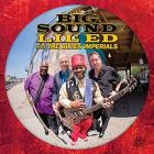 The Big Sound Of Lil' Ed And The Blues Imperials  di Lil'Ed &amp; The Blues Imperials - CD