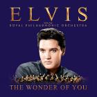 The_Wonder_Of_You_-Elvis_Presley