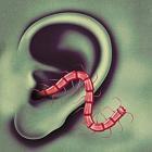 An Odd Entrances di Thee Oh Sees - CD
