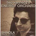 Shinola Special Edition  di Bap Kennedy - CD