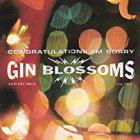 Congratulations I'm Sorry  di Gin Blossoms - LP