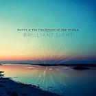 Brilliant Light di Danny & The Champions Of The World - CD