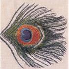 Homespun di XTC - CD