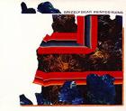 Painted Ruins  di Grizzly Bear - CD