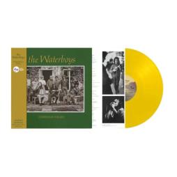 Fisherman's Blues  di Waterboys - LP