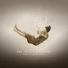 One Drop Of Truth  di The Wood Brothers - CD