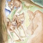 Wolf Of The Cosmos  di Bonnie "prince" Billy - CD