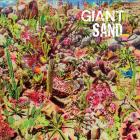 Returns To Valley Of Rain di Giant Sand - CD