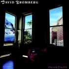 Long Way From Here di David Bromberg - CD