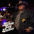 Wish_You_Were_Here_-Joshua_Ray_Walker
