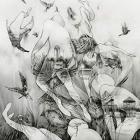 The Last Dawn  di Mono - CD