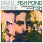 Fish Pond Fish  di Darlingside - CD