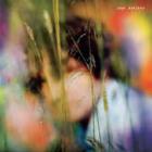 Sam Amidon  di Sam Amidon - CD