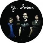 Live In Concert - Picture Disc Vinyl di Gin Blossoms - LP