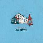 Amperland , NY  di Pinegrove - CD