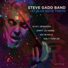 At Blue Note Tokyo  di Steve Gadd - CD