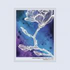 Georgia Blue  di Jason Isbell & 400 Unit - CD