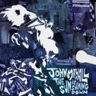 The Sun Is Shining Down  di John Mayall - CD