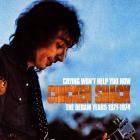 Crying Won't Help You Now: The Deram Years 1971-1974 di Chicken Shack - CD